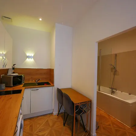 De La Roche Apartament